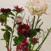 ヒメ日記 2025/06/03 20:30 投稿 斉藤恵 セレブショップ新宿（東京ハレ系）