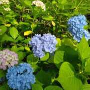 ヒメ日記 2025/06/05 23:45 投稿 斉藤恵 セレブショップ新宿（東京ハレ系）