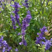 ヒメ日記 2025/06/08 18:31 投稿 斉藤恵 セレブショップ新宿（東京ハレ系）