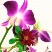 ヒメ日記 2025/06/08 21:01 投稿 斉藤恵 セレブショップ新宿（東京ハレ系）