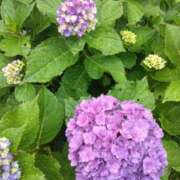 ヒメ日記 2025/06/11 22:45 投稿 斉藤恵 セレブショップ新宿（東京ハレ系）