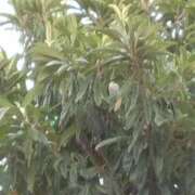 ヒメ日記 2025/06/14 17:44 投稿 斉藤恵 セレブショップ新宿（東京ハレ系）