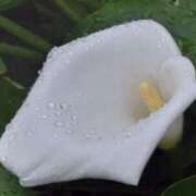 ヒメ日記 2025/06/14 20:34 投稿 斉藤恵 セレブショップ新宿（東京ハレ系）