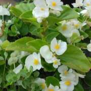 ヒメ日記 2025/06/17 11:28 投稿 斉藤恵 セレブショップ新宿（東京ハレ系）