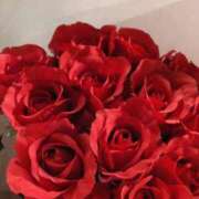 ヒメ日記 2025/06/18 17:30 投稿 斉藤恵 セレブショップ新宿（東京ハレ系）