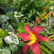 ヒメ日記 2025/06/20 12:00 投稿 斉藤恵 セレブショップ新宿（東京ハレ系）