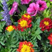 ヒメ日記 2025/06/21 07:15 投稿 斉藤恵 セレブショップ新宿（東京ハレ系）