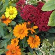 ヒメ日記 2025/06/21 23:45 投稿 斉藤恵 セレブショップ新宿（東京ハレ系）