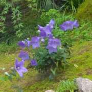 ヒメ日記 2025/06/22 18:30 投稿 斉藤恵 セレブショップ新宿（東京ハレ系）