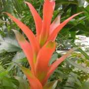 ヒメ日記 2025/06/27 22:01 投稿 斉藤恵 セレブショップ新宿（東京ハレ系）