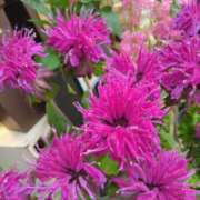 ヒメ日記 2025/06/28 22:15 投稿 斉藤恵 セレブショップ新宿（東京ハレ系）