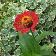 ヒメ日記 2025/06/29 18:30 投稿 斉藤恵 セレブショップ新宿（東京ハレ系）