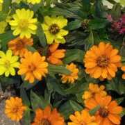 ヒメ日記 2025/07/01 05:32 投稿 斉藤恵 セレブショップ新宿（東京ハレ系）