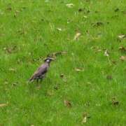 ヒメ日記 2025/07/03 05:49 投稿 斉藤恵 セレブショップ新宿（東京ハレ系）