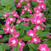 ヒメ日記 2025/07/03 20:30 投稿 斉藤恵 セレブショップ新宿（東京ハレ系）