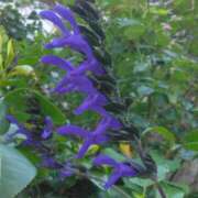 ヒメ日記 2025/07/03 22:45 投稿 斉藤恵 セレブショップ新宿（東京ハレ系）