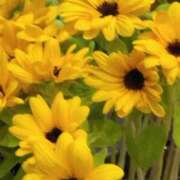 ヒメ日記 2025/07/09 17:30 投稿 斉藤恵 セレブショップ新宿（東京ハレ系）