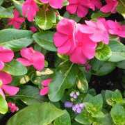 ヒメ日記 2025/07/09 17:45 投稿 斉藤恵 セレブショップ新宿（東京ハレ系）