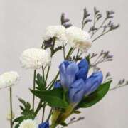 ヒメ日記 2025/07/10 22:39 投稿 斉藤恵 セレブショップ新宿（東京ハレ系）