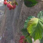 ヒメ日記 2025/07/12 14:57 投稿 斉藤恵 セレブショップ新宿（東京ハレ系）