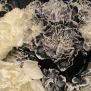 ヒメ日記 2025/07/13 00:15 投稿 斉藤恵 セレブショップ新宿（東京ハレ系）