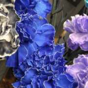 ヒメ日記 2025/07/13 18:30 投稿 斉藤恵 セレブショップ新宿（東京ハレ系）