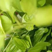 ヒメ日記 2025/07/14 07:16 投稿 斉藤恵 セレブショップ新宿（東京ハレ系）