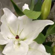 ヒメ日記 2025/07/21 00:15 投稿 斉藤恵 セレブショップ新宿（東京ハレ系）