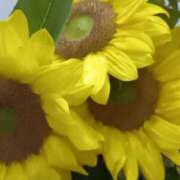 ヒメ日記 2025/07/21 18:45 投稿 斉藤恵 セレブショップ新宿（東京ハレ系）