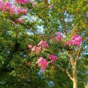 ヒメ日記 2025/07/22 12:31 投稿 斉藤恵 セレブショップ新宿（東京ハレ系）