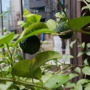 ヒメ日記 2025/07/22 16:26 投稿 斉藤恵 セレブショップ新宿（東京ハレ系）