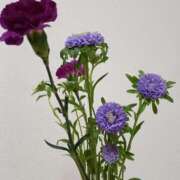 ヒメ日記 2025/07/26 11:30 投稿 斉藤恵 セレブショップ新宿（東京ハレ系）