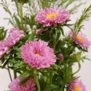 ヒメ日記 2025/08/01 06:17 投稿 斉藤恵 セレブショップ新宿（東京ハレ系）