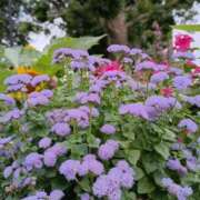 ヒメ日記 2025/08/02 22:02 投稿 斉藤恵 セレブショップ新宿（東京ハレ系）