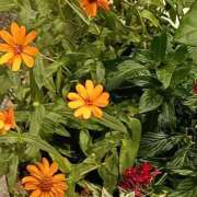 ヒメ日記 2025/08/06 08:15 投稿 斉藤恵 セレブショップ新宿（東京ハレ系）