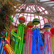 ヒメ日記 2025/08/09 21:55 投稿 斉藤恵 セレブショップ新宿（東京ハレ系）