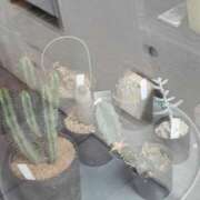 ヒメ日記 2025/08/11 11:01 投稿 斉藤恵 セレブショップ新宿（東京ハレ系）