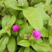 ヒメ日記 2025/08/12 06:10 投稿 斉藤恵 セレブショップ新宿（東京ハレ系）