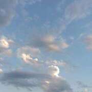 ヒメ日記 2025/08/13 06:00 投稿 斉藤恵 セレブショップ新宿（東京ハレ系）