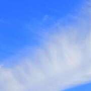 ヒメ日記 2025/08/14 21:02 投稿 斉藤恵 セレブショップ新宿（東京ハレ系）