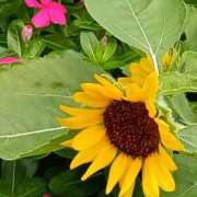 ヒメ日記 2025/08/15 16:34 投稿 斉藤恵 セレブショップ新宿（東京ハレ系）