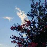 ヒメ日記 2025/08/16 21:40 投稿 斉藤恵 セレブショップ新宿（東京ハレ系）