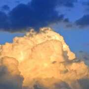 ヒメ日記 2025/08/22 06:21 投稿 斉藤恵 セレブショップ新宿（東京ハレ系）