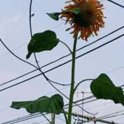 ヒメ日記 2025/08/22 15:22 投稿 斉藤恵 セレブショップ新宿（東京ハレ系）