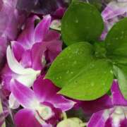 ヒメ日記 2025/08/24 07:15 投稿 斉藤恵 セレブショップ新宿（東京ハレ系）