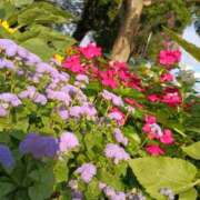 ヒメ日記 2025/08/25 00:30 投稿 斉藤恵 セレブショップ新宿（東京ハレ系）