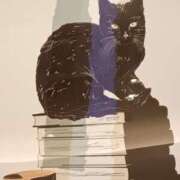 ヒメ日記 2025/08/25 15:39 投稿 斉藤恵 セレブショップ新宿（東京ハレ系）