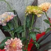 ヒメ日記 2025/08/27 03:37 投稿 斉藤恵 セレブショップ新宿（東京ハレ系）