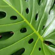 ヒメ日記 2025/08/27 21:45 投稿 斉藤恵 セレブショップ新宿（東京ハレ系）