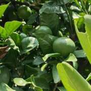 ヒメ日記 2025/09/01 22:07 投稿 斉藤恵 セレブショップ新宿（東京ハレ系）